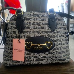 Juicy Couture Purse
